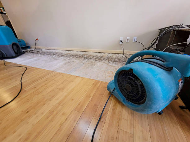 Professional Structural Drying technician working in Elka Park, NY